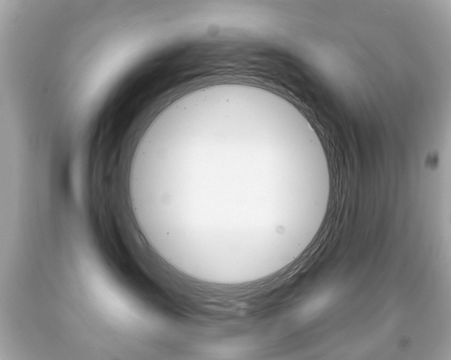 X0000091850431200709050939