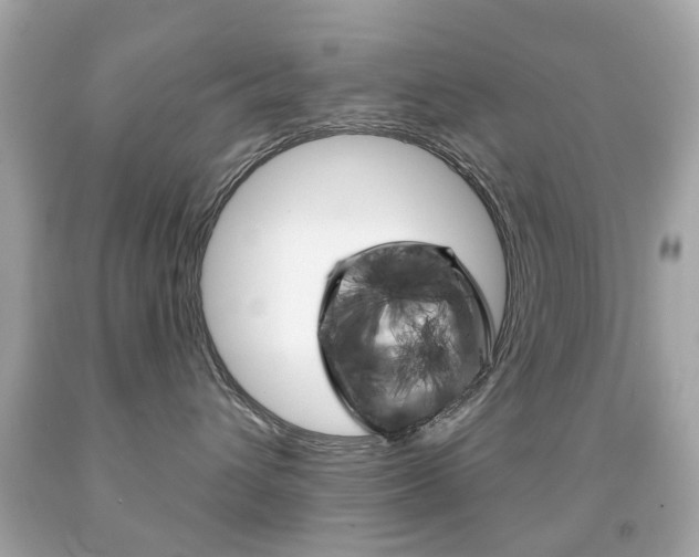 X0000091850432200709050939