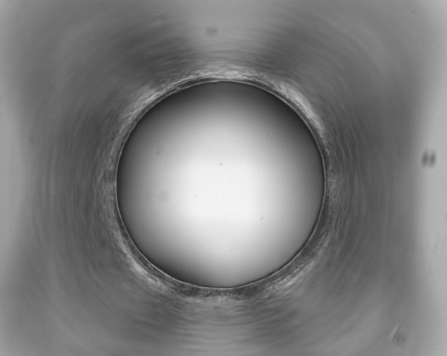X0000091850433200709050938