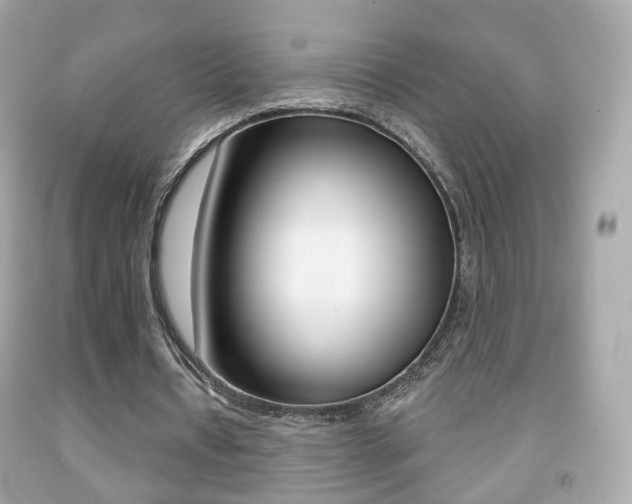 X0000091850434200709050938