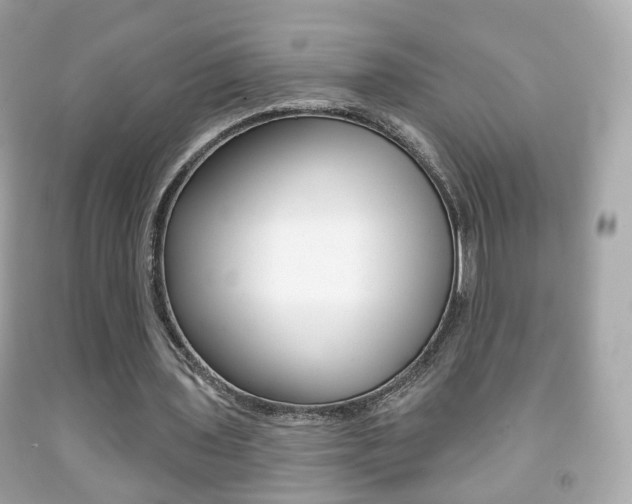 X0000091850435200709050938