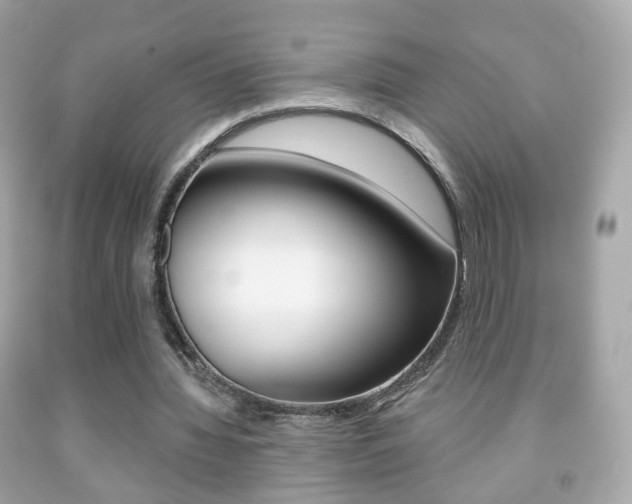 X0000091850436200709050938