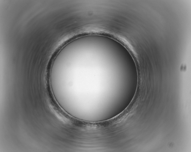 X0000091850439200709050938
