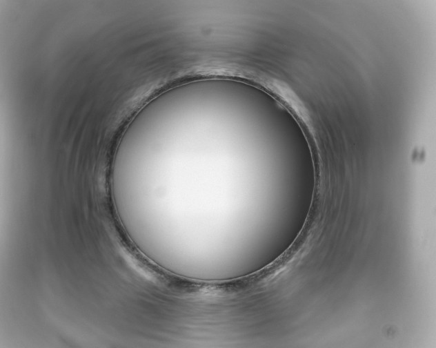 X0000091850441200709050938