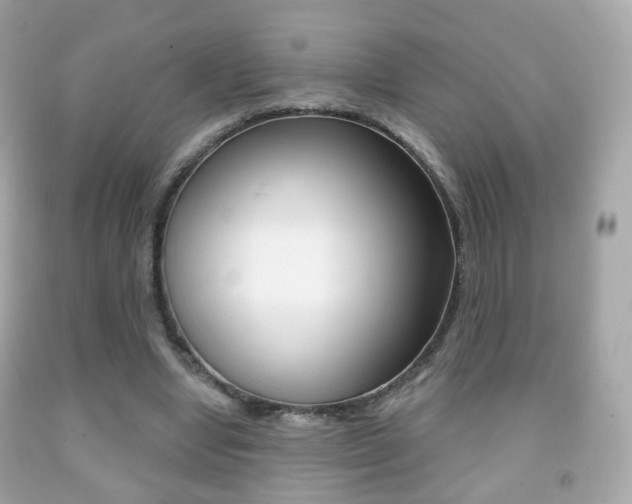 X0000091850442200709050939