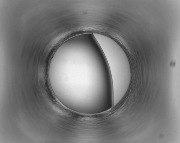 X0000091850444200709050939