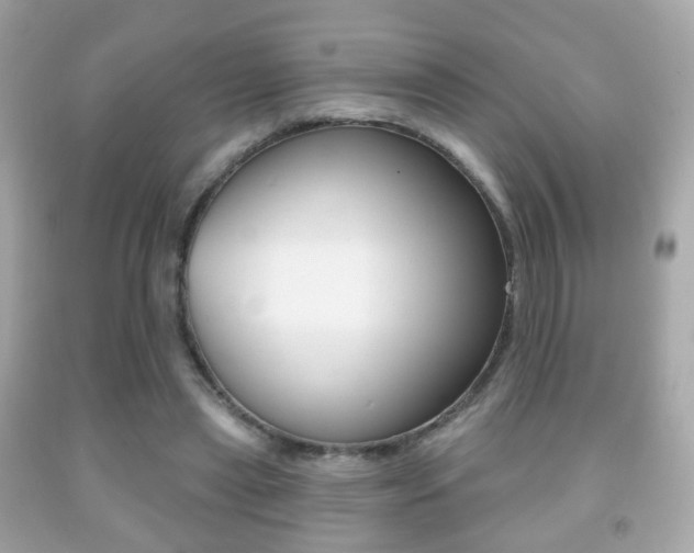 X0000091850445200709050939