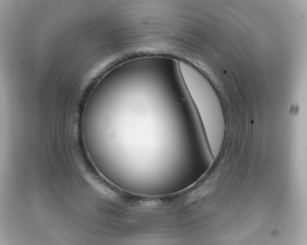 X0000091850446200709050939