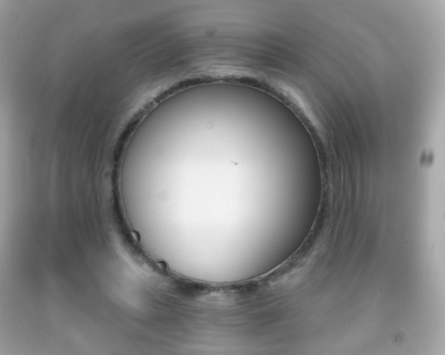 X0000091850447200709050939