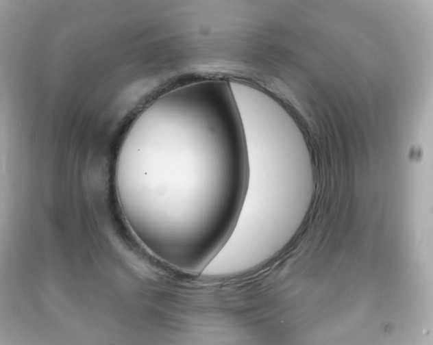 X0000091850448200709050939