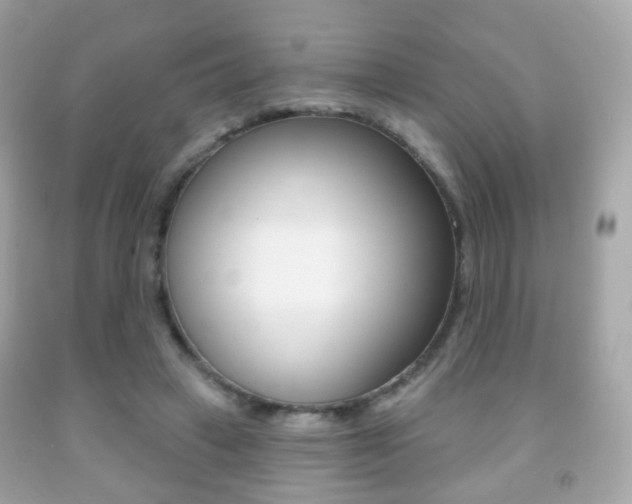 X0000091850449200709050939