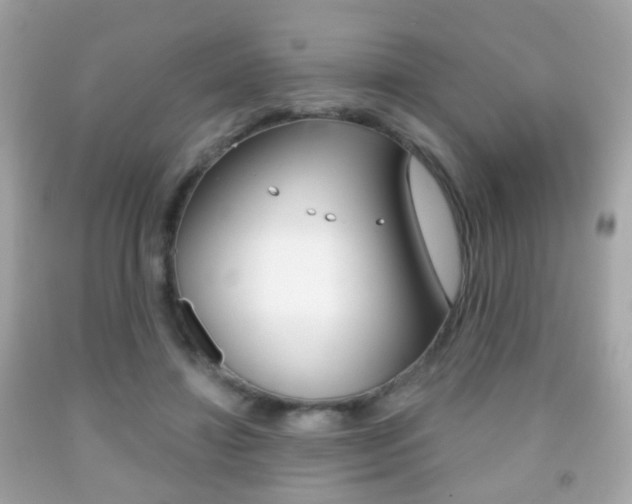 X0000091850452200709050939