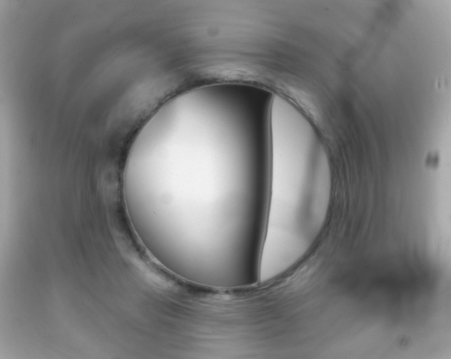 X0000091850453200709050939