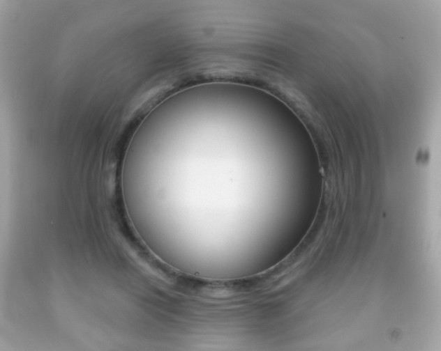 X0000091850454200709050939