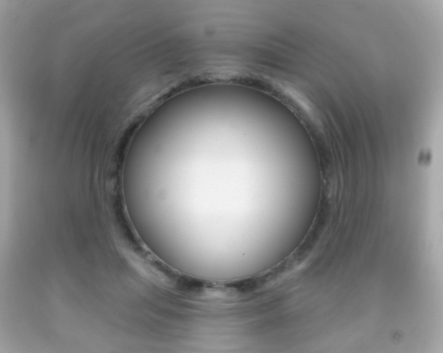 X0000091850455200709050939