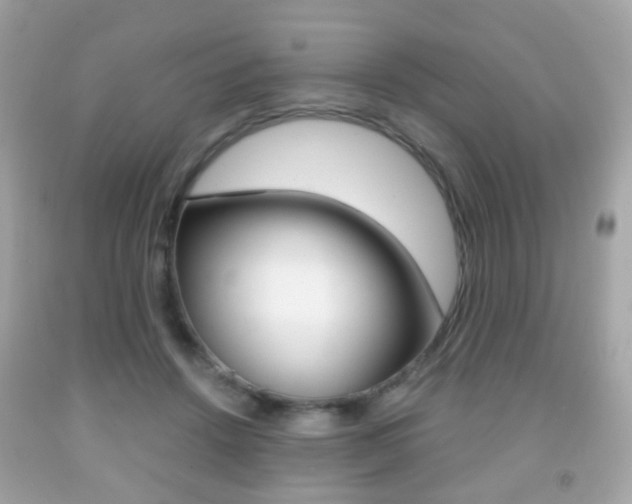 X0000091850456200709050939