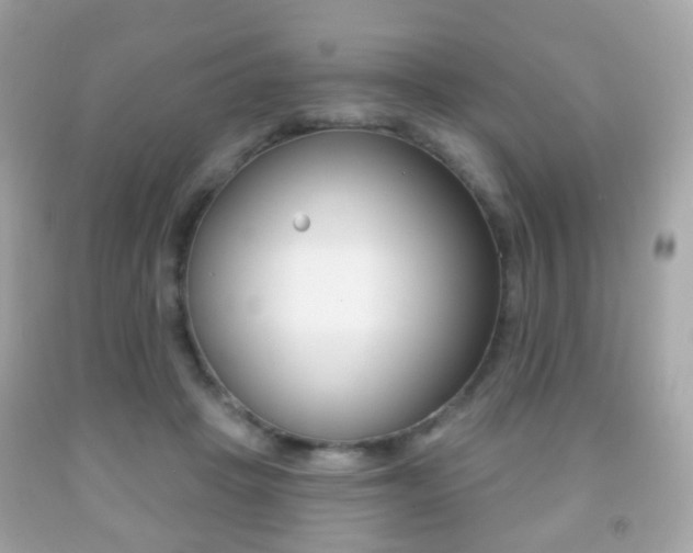 X0000091850457200709050939