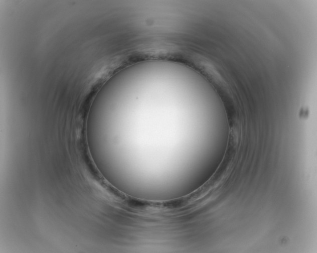 X0000091850458200709050939