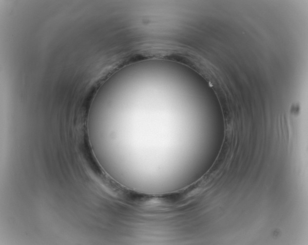 X0000091850460200709050939