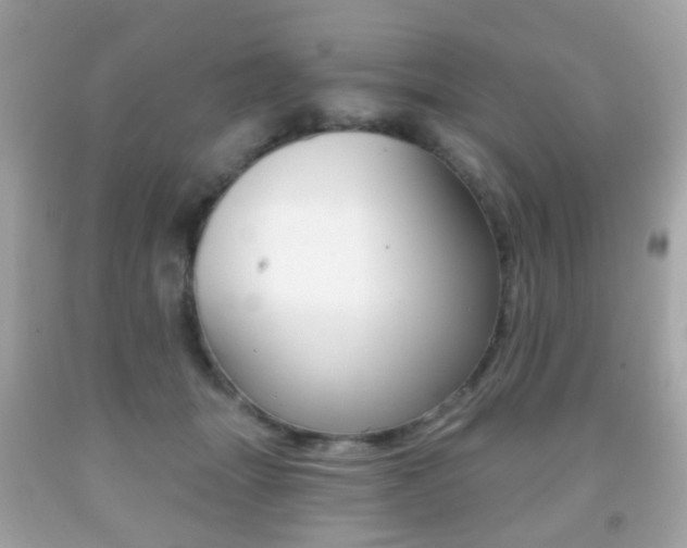 X0000091850463200709050939