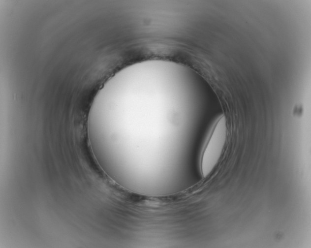 X0000091850464200709050939