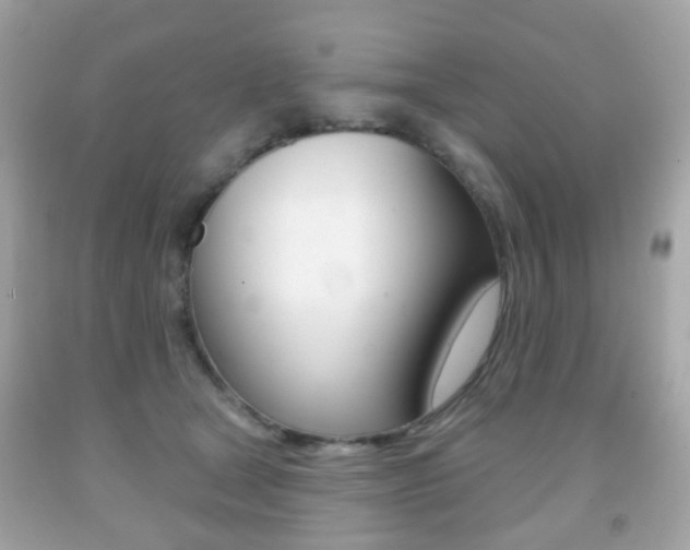 X0000091850465200709050939
