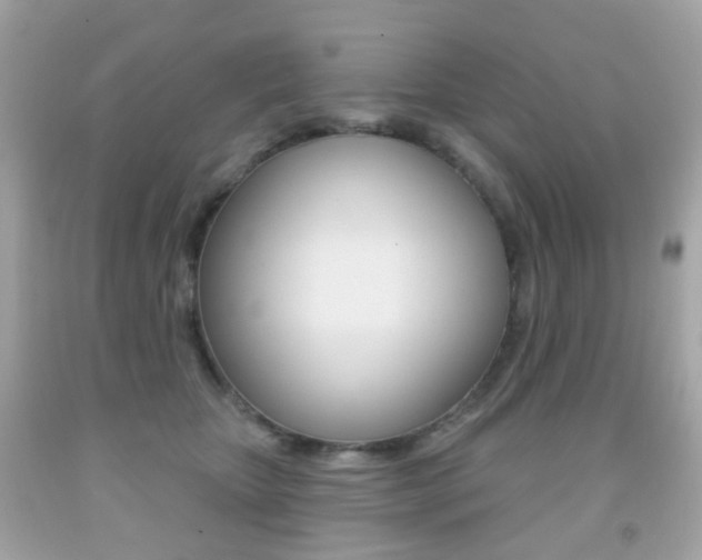 X0000091850467200709050939