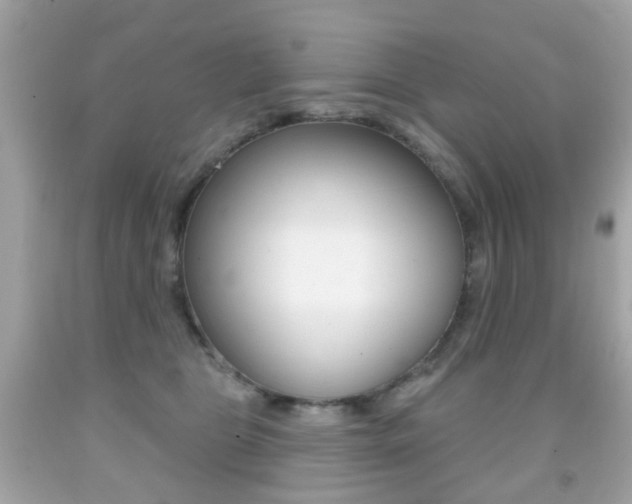 X0000091850469200709050939