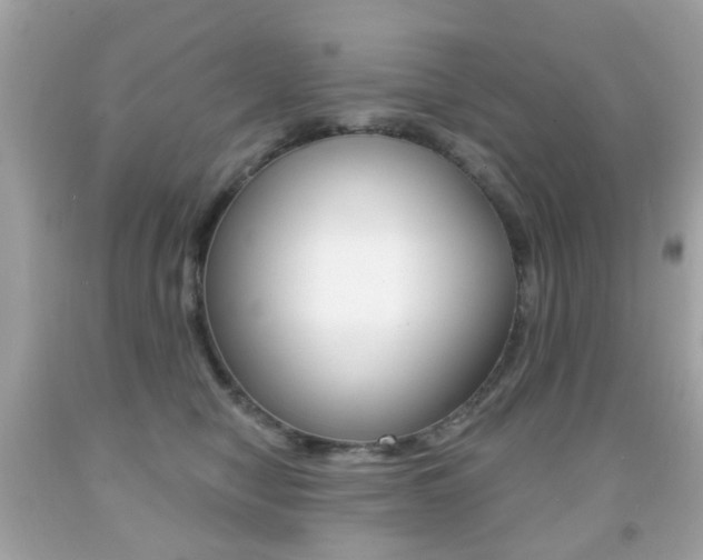 X0000091850470200709050939