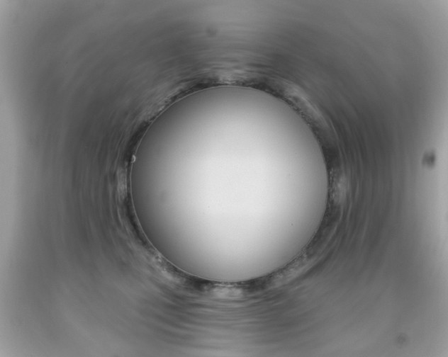 X0000091850471200709050939