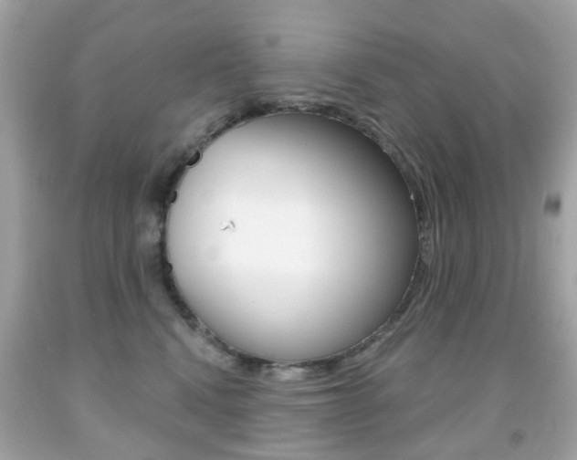 X0000091850472200709050939