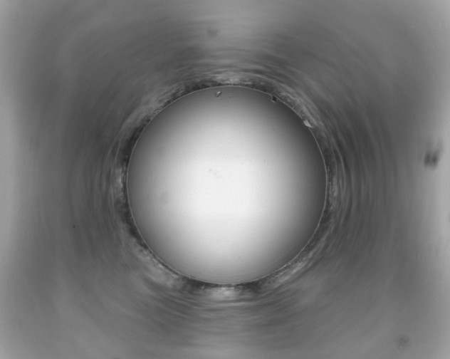 X0000091850473200709050939