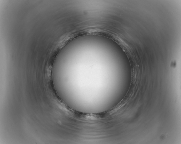 X0000091850475200709050939