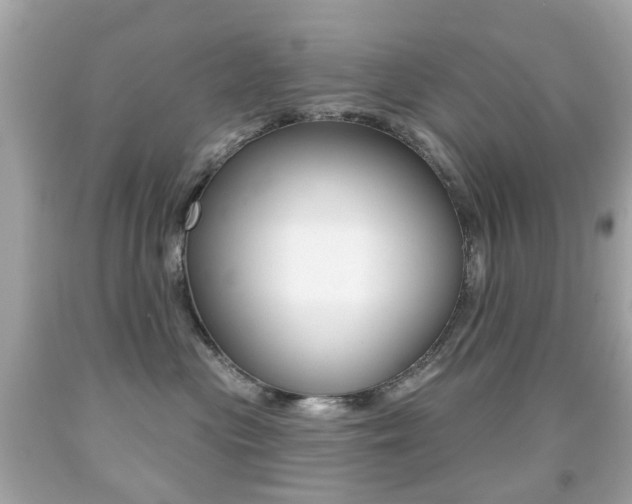 X0000091850477200709050939