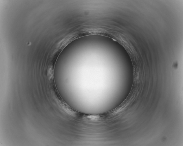 X0000091850478200709050939