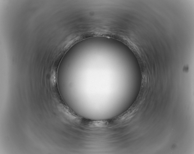 X0000091850479200709050939