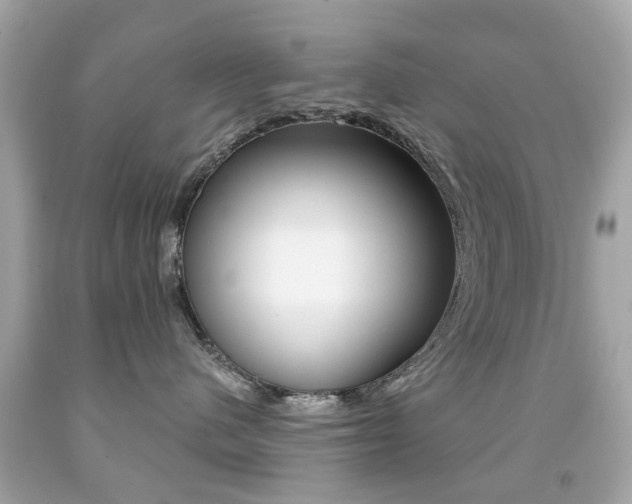 X0000091850480200709050939