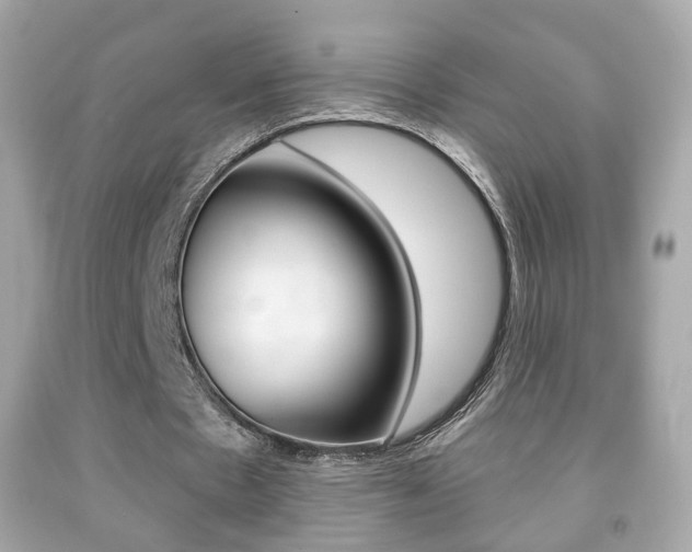 X0000091850481200709050938