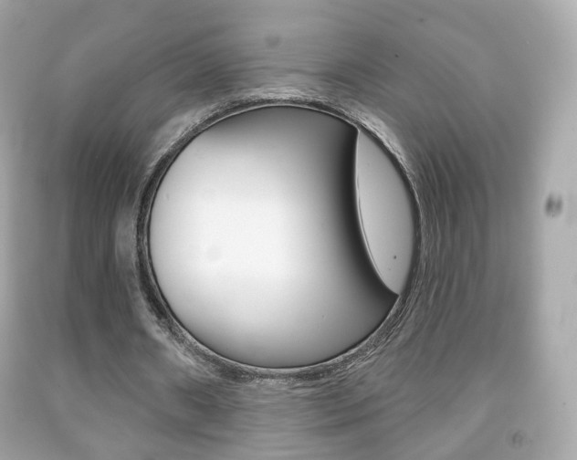 X0000091850482200709050938