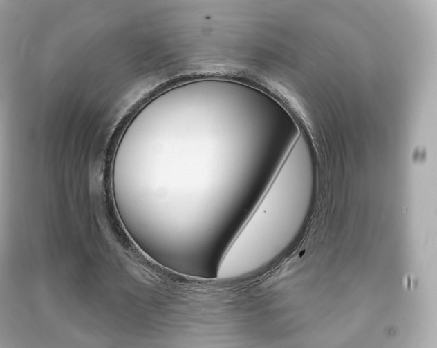 X0000091850483200709050938