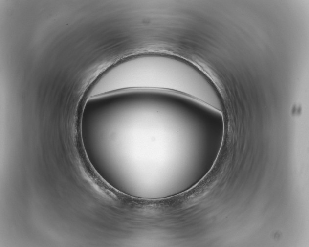 X0000091850485200709050938