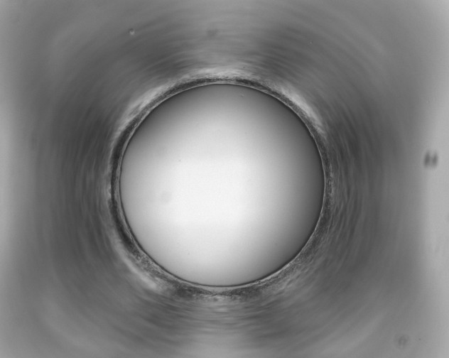 X0000091850486200709050938