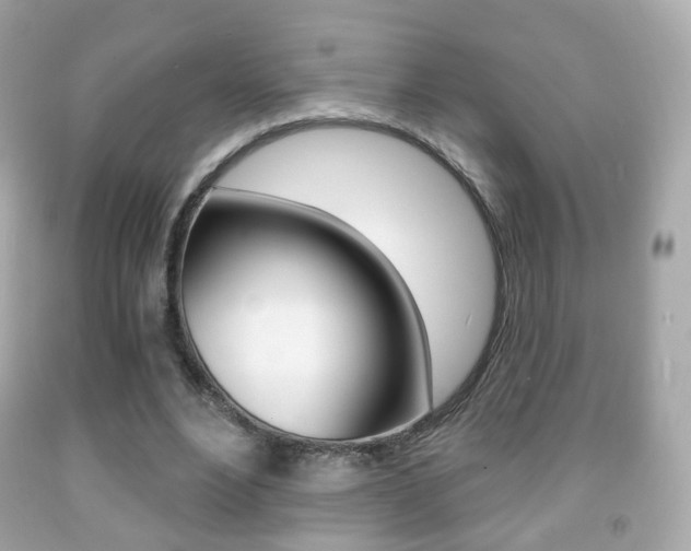 X0000091850488200709050938