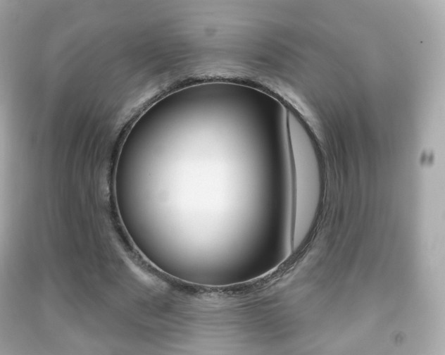 X0000091850489200709050938