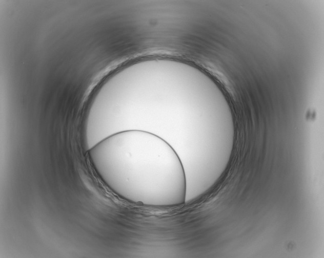 X0000091850492200709050938