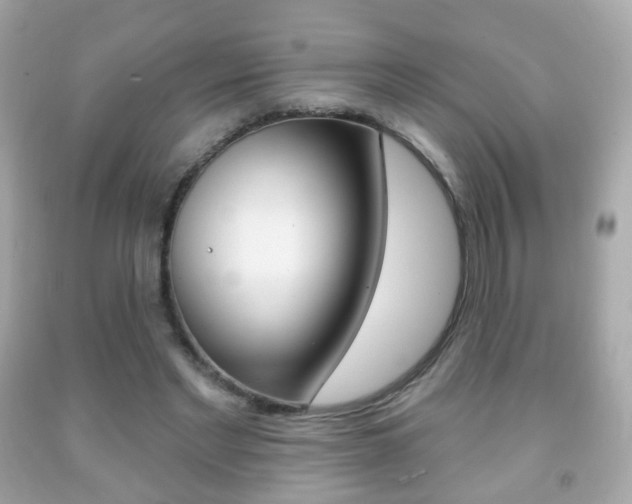 X0000091850493200709050938