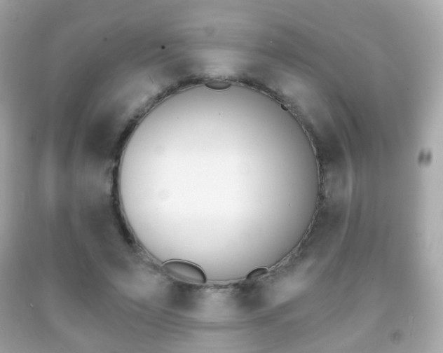 X0000091850495200709050938