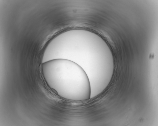 X0000091850496200709050938