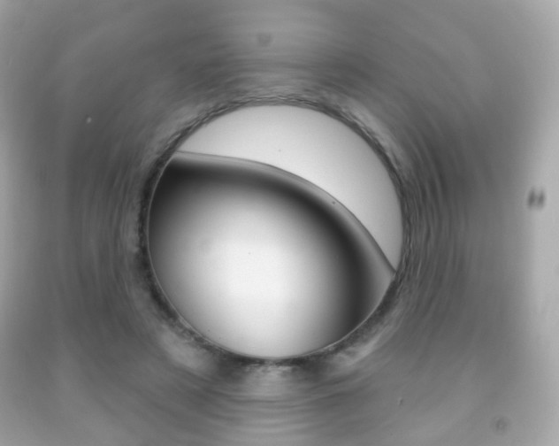 X0000091850497200709050938