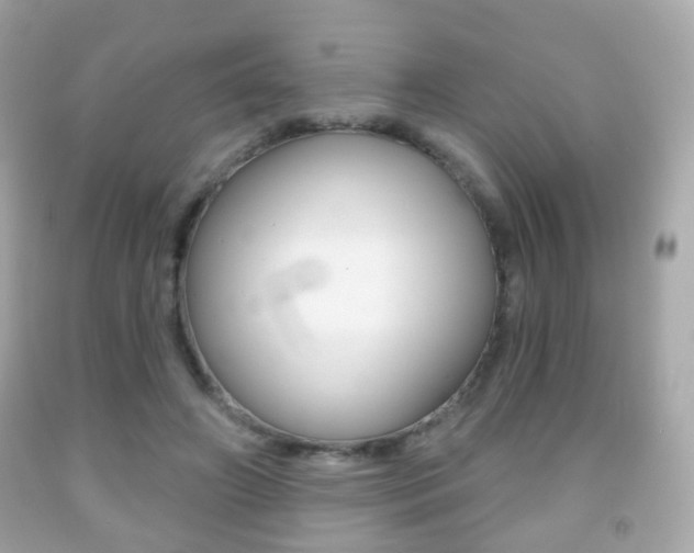 X0000091850498200709050938